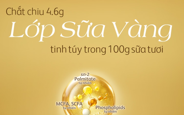 Friso Prestige với công thức dinh dưỡng “Lớp sữa vàng tăng cường miễn dịch”